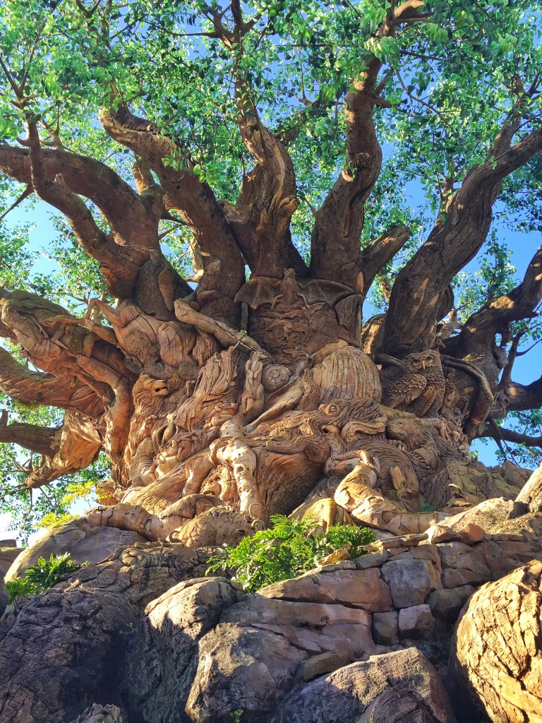 Animal Kingdom New Nighttime Experience and 3 Must Do's